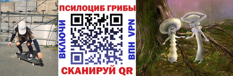 Галлюциногенные грибы прущие грибы  купить наркотики цена  Почеп 